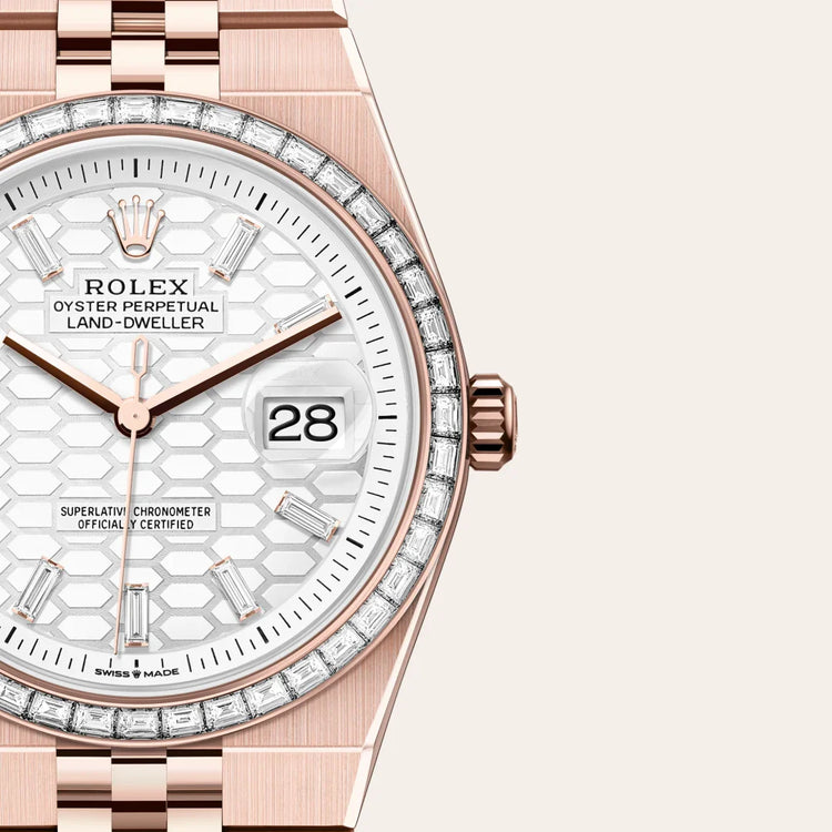 Rolex Land-Dweller 36