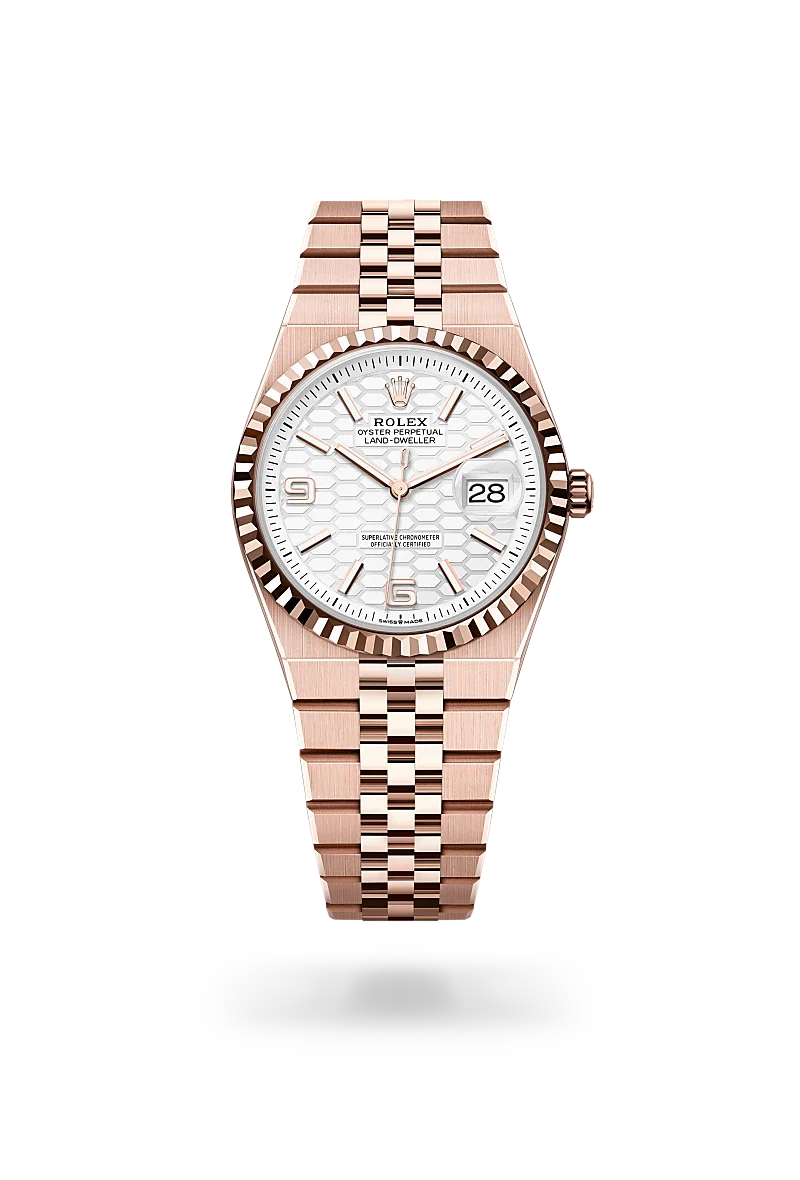 Rolex  Land-Dweller 36 in Oyster, 36 mm, Everose gold