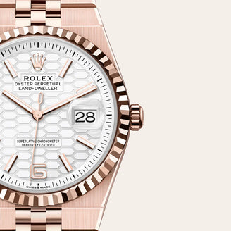 Rolex Land-Dweller 36