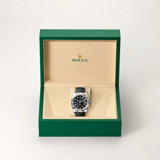 Rolex Sky-Dweller