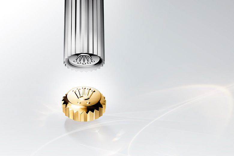 Rolex accessories collection item