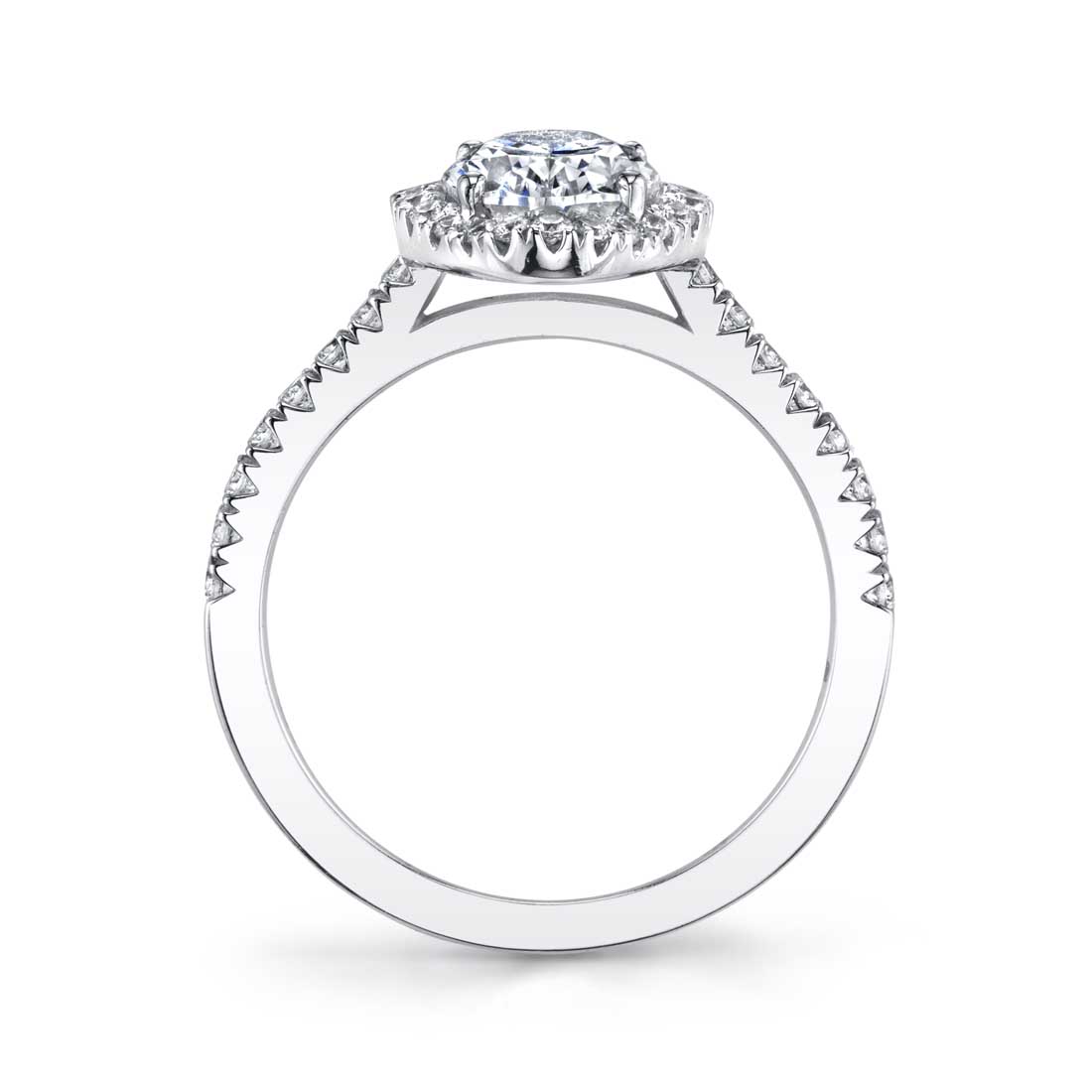 Aaliyah - Oval Engagement Ring with Halo
