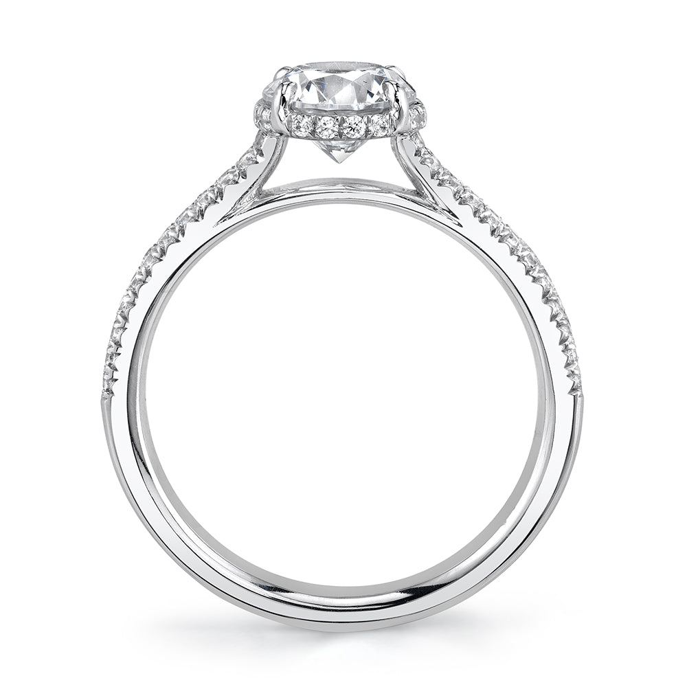 Classic Engagement Ring with Under Halo