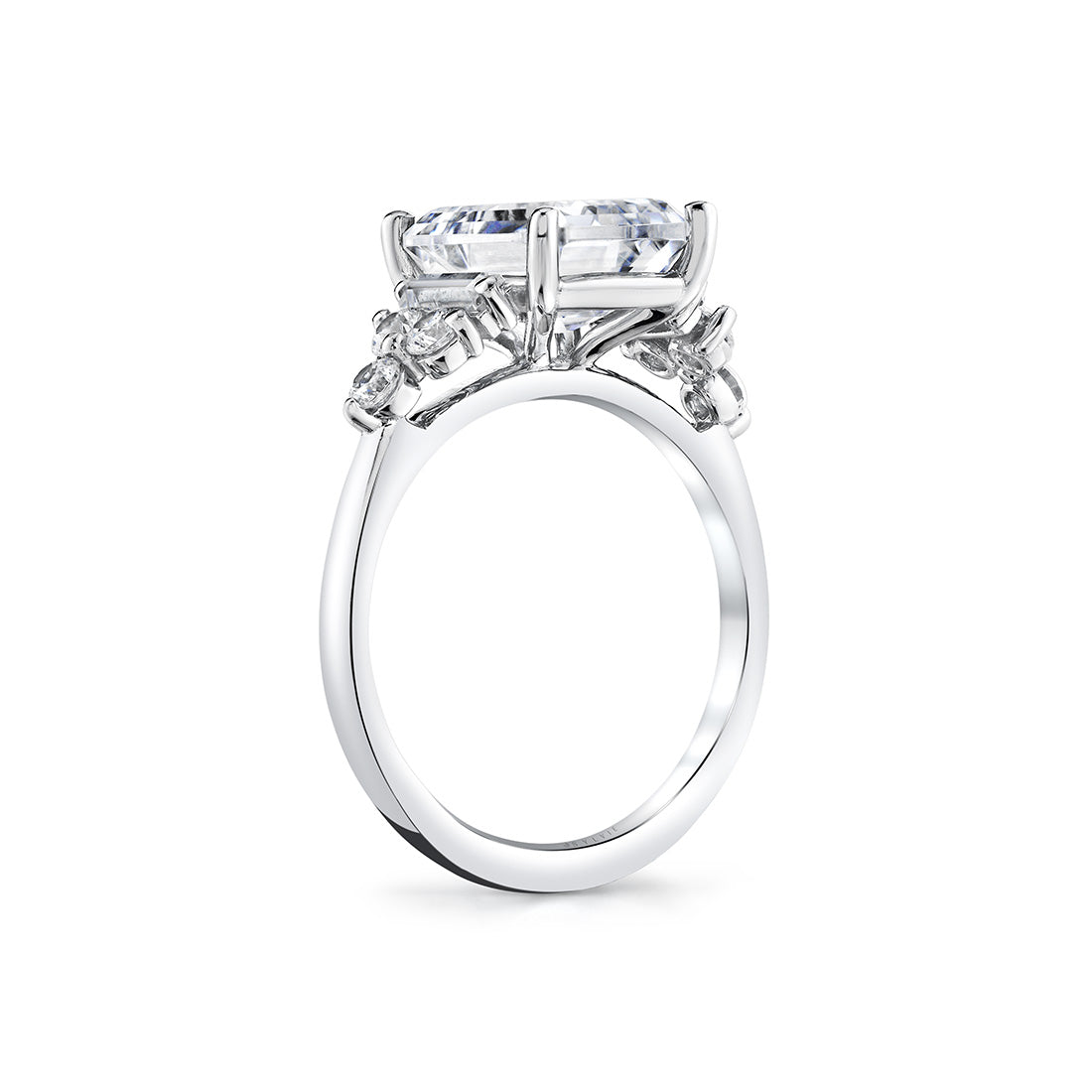Emerald Cut Multi Stone Engagement Ring - Caisyn