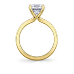 Auravie Channel Set Round Diamond Engagement Ring - Danika