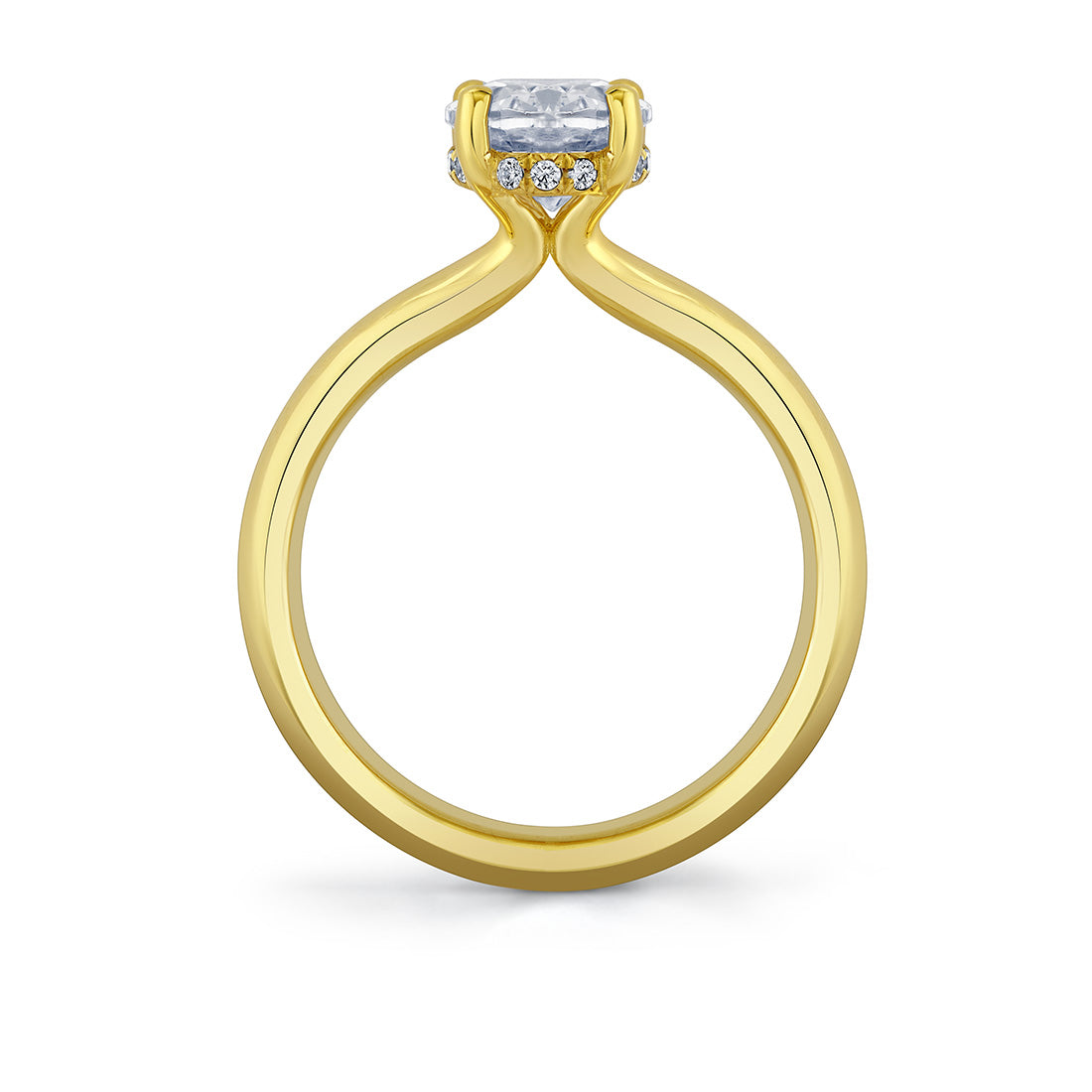 Oval Cut Solitaire Hidden Halo Engagement Ring - Briar