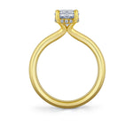 Oval Cut Solitaire Hidden Halo Engagement Ring - Briar
