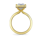 Auravie Bezel Hidden Halo Engagement Ring - Jean