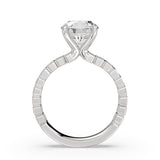 Auravie Panel Solitaire Engagement Ring - Scout